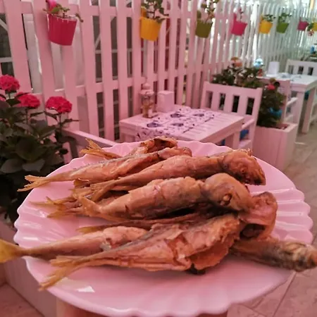 Familia Fantastiko 2* キテン