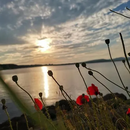 Familia Fantastiko キテン